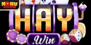 Haywin gamenohu – Góc nhìn thực tế từ trải nghiệm 2026